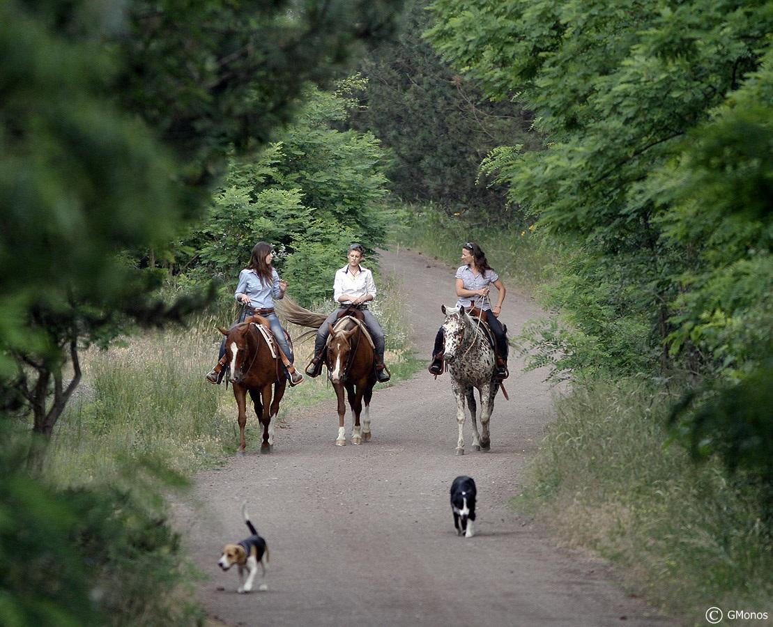 El Bronco Working Ranch Izsák Exterior foto
